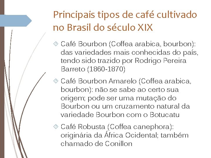 Principais tipos de café cultivado no Brasil do século XIX Café Bourbon (Coffea arabica,