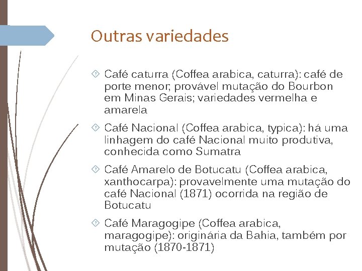 Outras variedades Café caturra (Coffea arabica, caturra): café de porte menor; provável mutação do