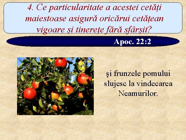 4. Ce particularitate a acestei cetăți maiestoase asigură oricărui cetățean vigoare și tinerețe fără