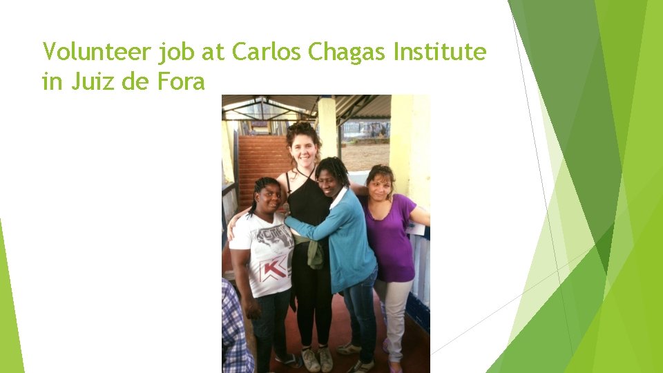 Volunteer job at Carlos Chagas Institute in Juiz de Fora 