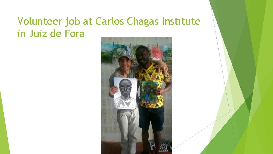 Volunteer job at Carlos Chagas Institute in Juiz de Fora 