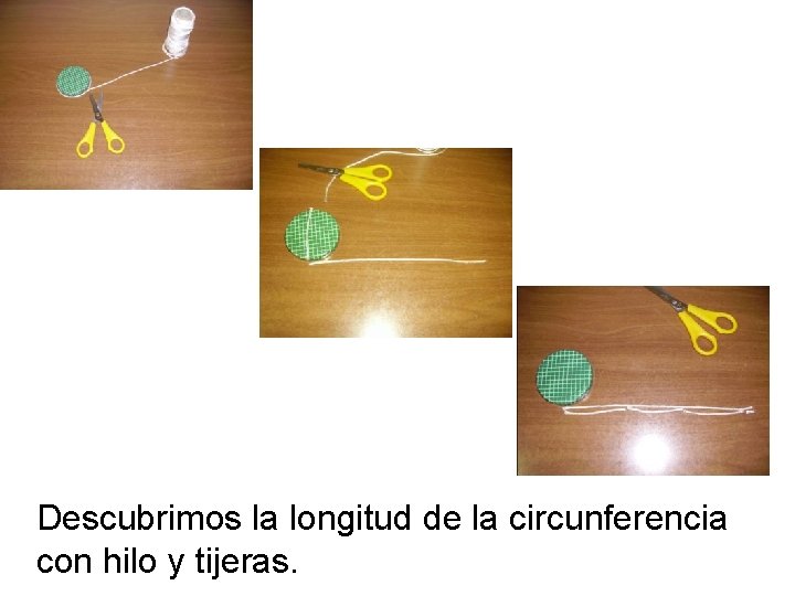 Descubrimos la longitud de la circunferencia con hilo y tijeras. 