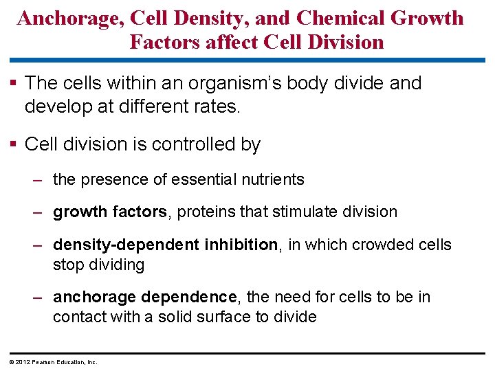 Anchorage, Cell Density, and Chemical Growth Factors affect Cell Division § The cells within