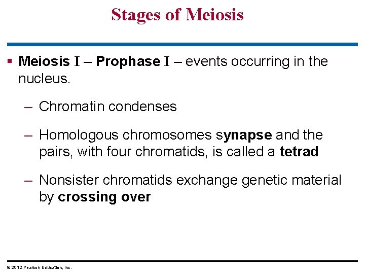 Stages of Meiosis § Meiosis I – Prophase I – events occurring in the