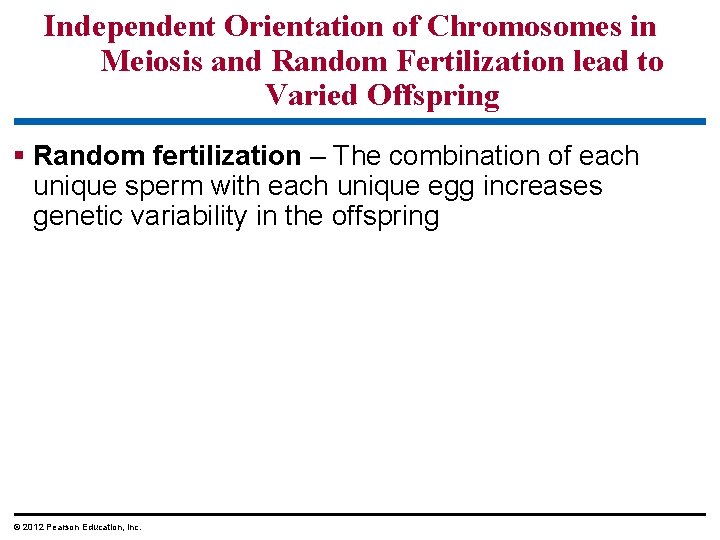 Independent Orientation of Chromosomes in Meiosis and Random Fertilization lead to Varied Offspring §