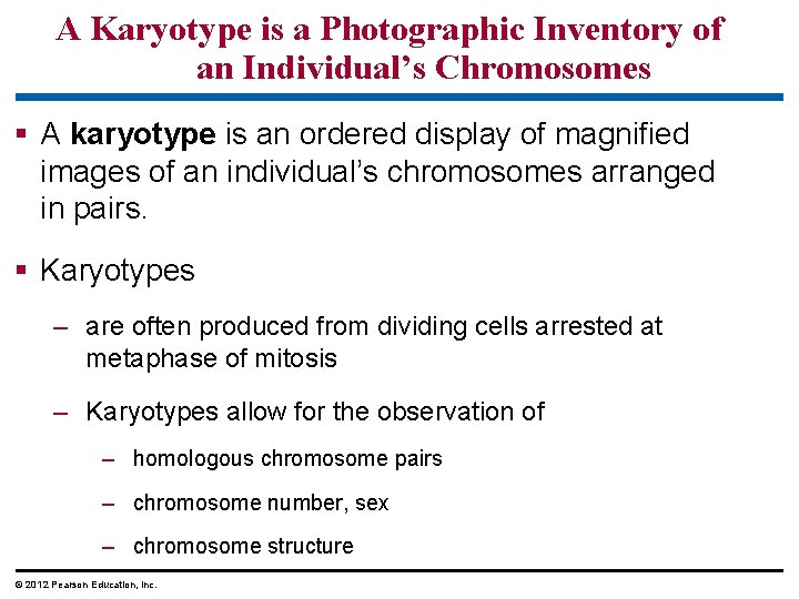 A Karyotype is a Photographic Inventory of an Individual’s Chromosomes § A karyotype is