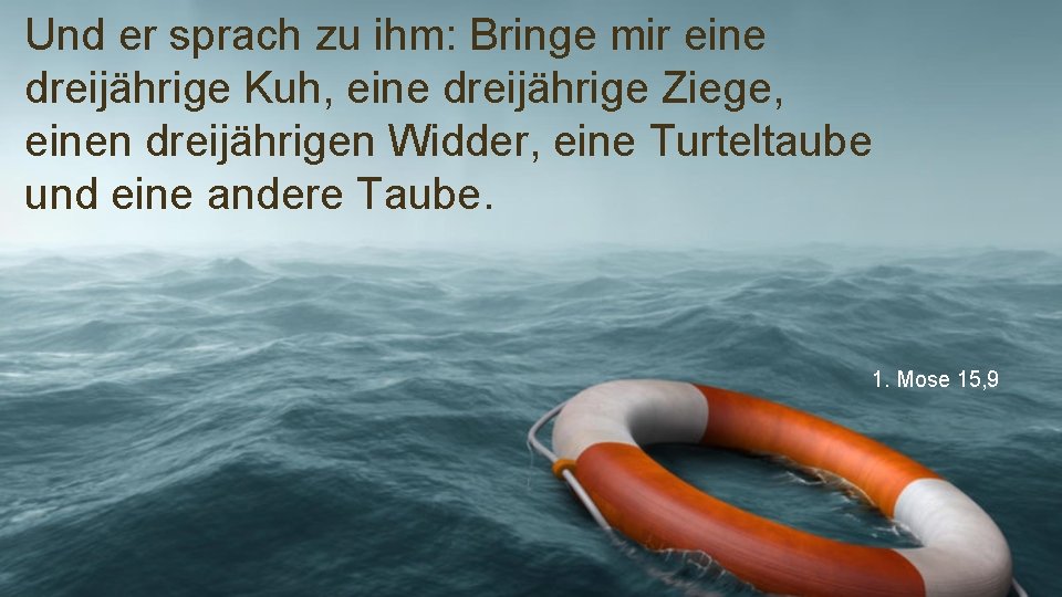 Und er sprach zu ihm: Bringe mir eine dreijährige Kuh, eine dreijährige Ziege, einen