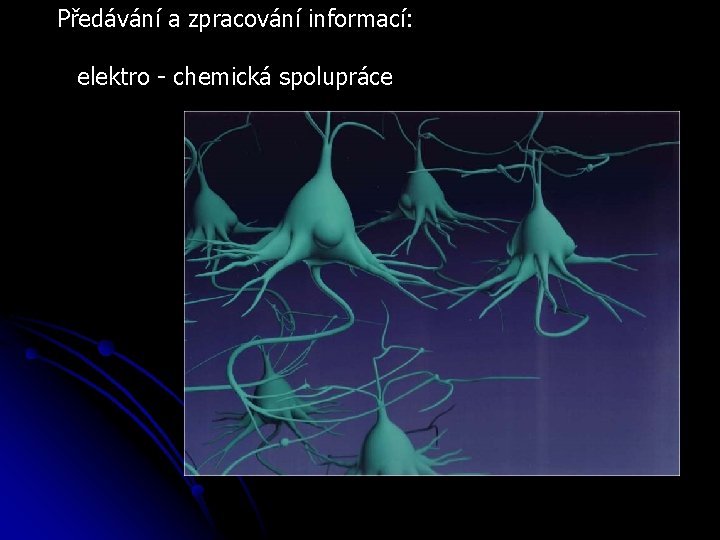 Předávání a zpracování informací: elektro - chemická spolupráce 