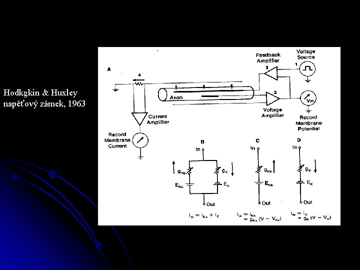 Hodkgkin & Huxley napěťový zámek, 1963 