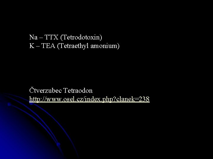 Na – TTX (Tetrodotoxin) K – TEA (Tetraethyl amonium) Čtverzubec Tetraodon http: //www. osel.