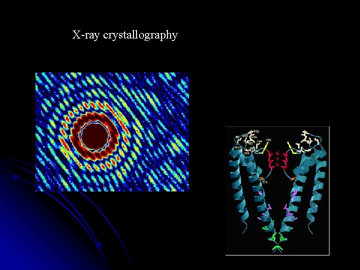 X-ray crystallography 