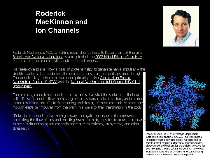 Roderick Mac. Kinnon and Ion Channels Roderick Mac. Kinnon, M. D. , a visiting