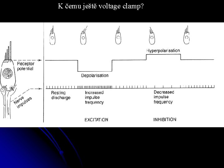 K čemu ještě voltage clamp? 