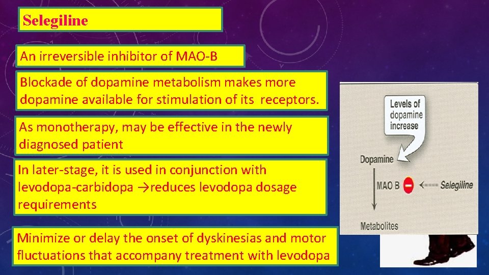 Selegiline An irreversible inhibitor of MAO-B Blockade of dopamine metabolism makes more dopamine available