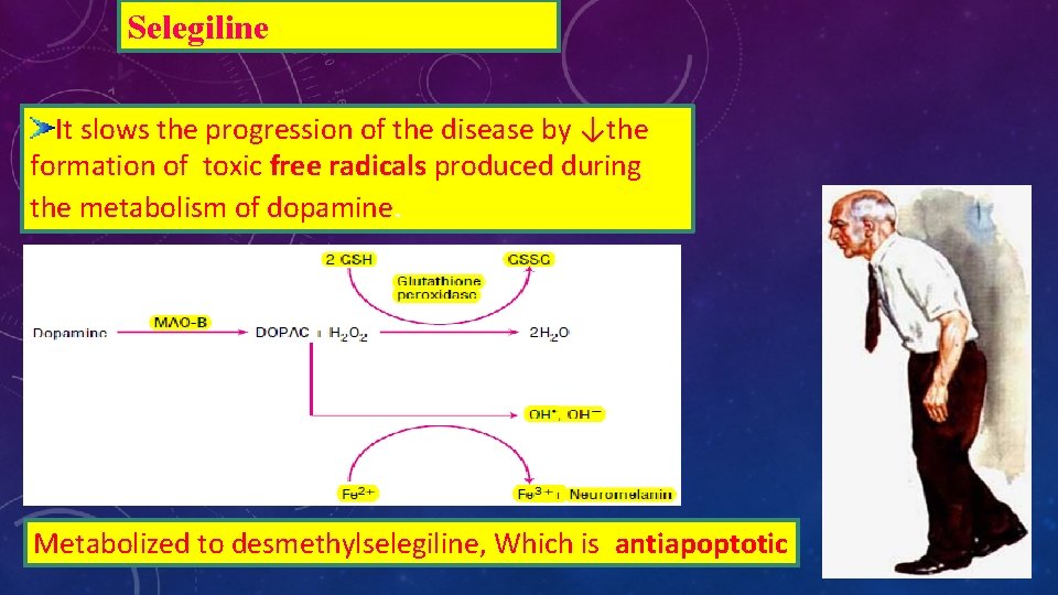 Selegiline It slows the progression of the disease by ↓the formation of toxic free