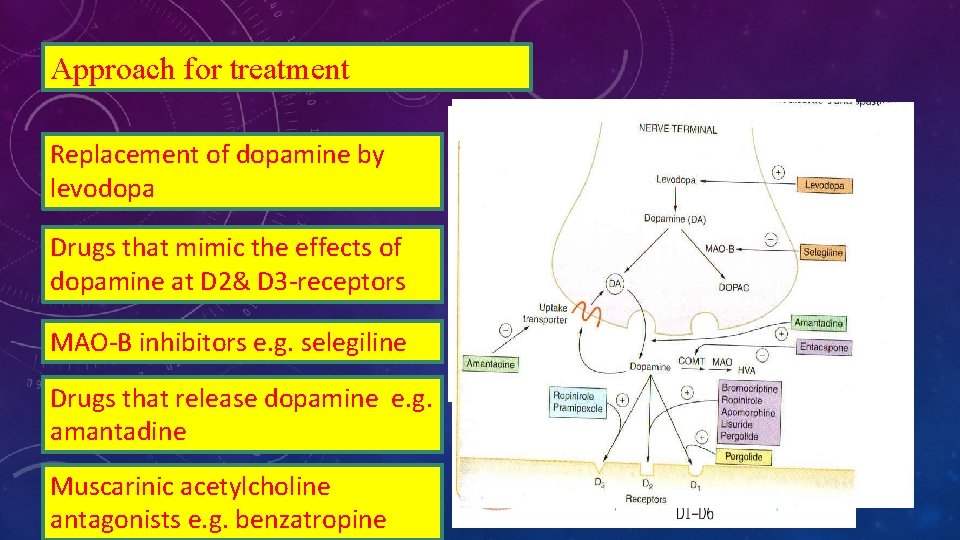 Approach for treatment Replacement of dopamine by levodopa Drugs that mimic the effects of