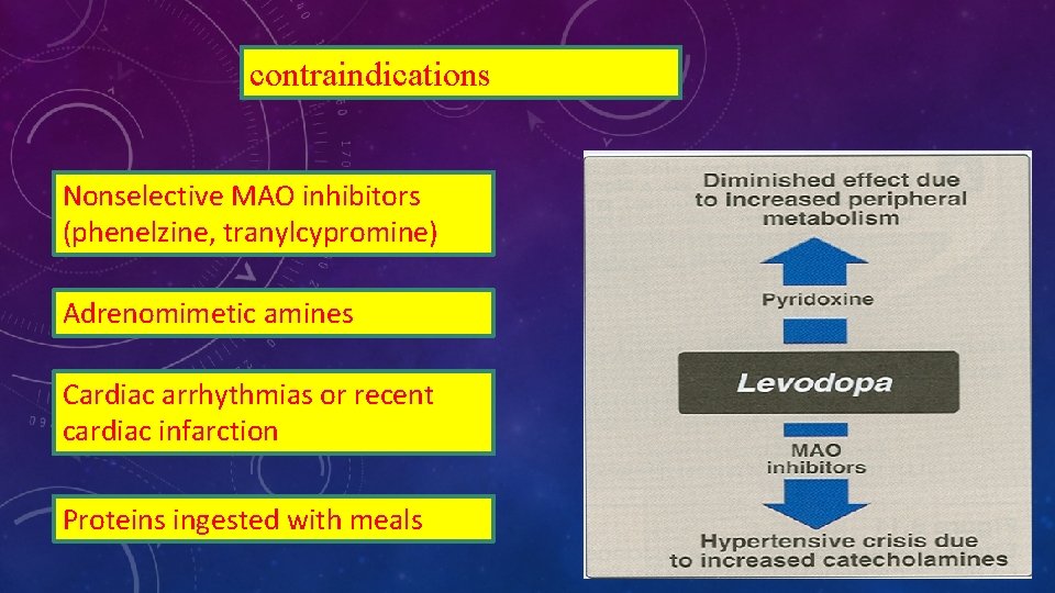 contraindications Nonselective MAO inhibitors (phenelzine, tranylcypromine) Adrenomimetic amines Cardiac arrhythmias or recent cardiac infarction