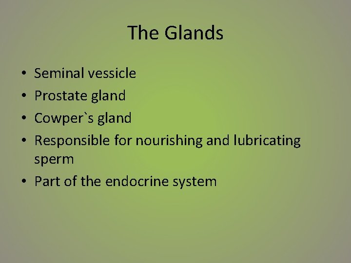 The Glands Seminal vessicle Prostate gland Cowper`s gland Responsible for nourishing and lubricating sperm