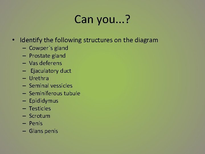 Can you. . . ? • Identify the following structures on the diagram –