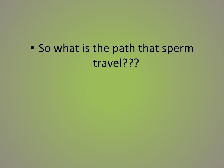 • So what is the path that sperm travel? ? ? 