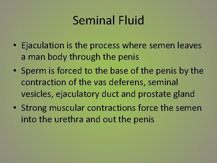 Seminal Fluid • Ejaculation is the process where semen leaves a man body through