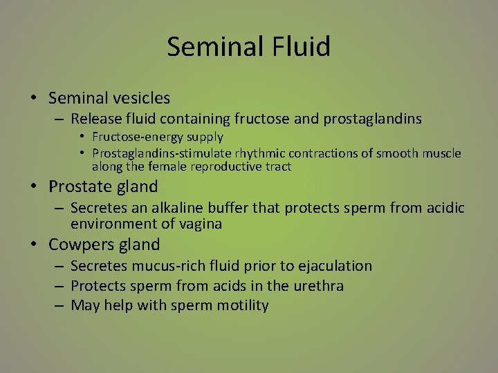 Seminal Fluid • Seminal vesicles – Release fluid containing fructose and prostaglandins • Fructose-energy