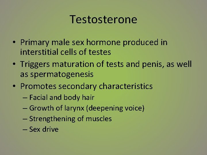 Testosterone • Primary male sex hormone produced in interstitial cells of testes • Triggers