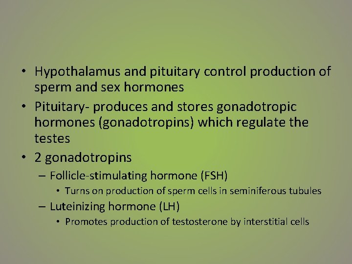  • Hypothalamus and pituitary control production of sperm and sex hormones • Pituitary-