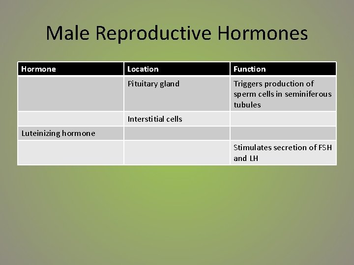 Male Reproductive Hormones Hormone Location Function Pituitary gland Triggers production of sperm cells in