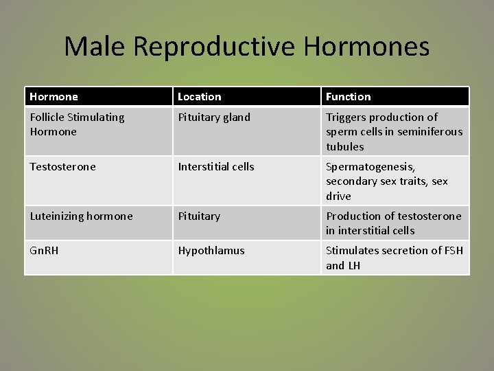 Male Reproductive Hormones Hormone Location Function Follicle Stimulating Hormone Pituitary gland Triggers production of