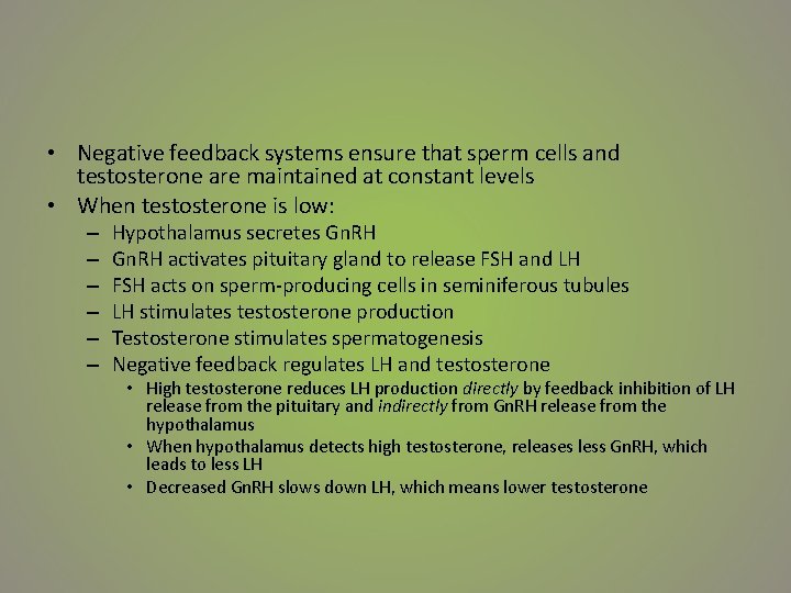  • Negative feedback systems ensure that sperm cells and testosterone are maintained at