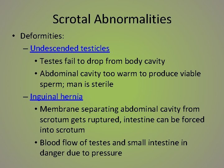 Scrotal Abnormalities • Deformities: – Undescended testicles • Testes fail to drop from body