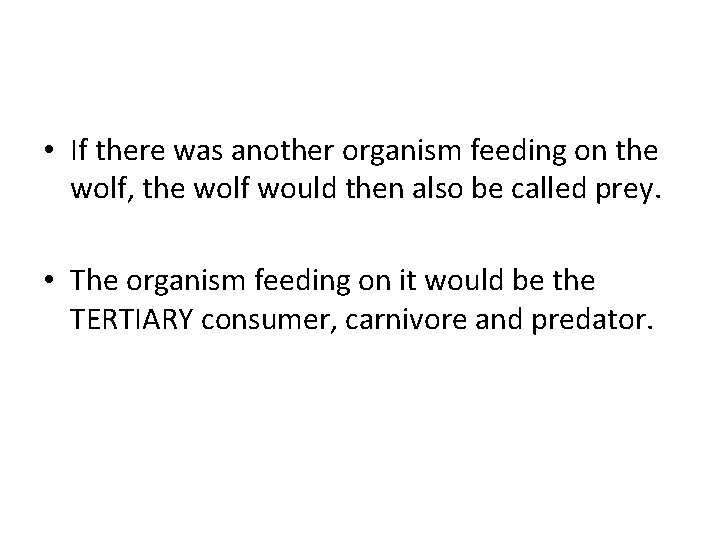  • If there was another organism feeding on the wolf, the wolf would