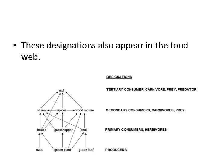  • These designations also appear in the food web. 