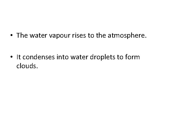  • The water vapour rises to the atmosphere. • It condenses into water