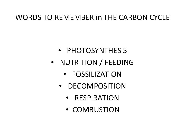 WORDS TO REMEMBER in THE CARBON CYCLE • PHOTOSYNTHESIS • NUTRITION / FEEDING •