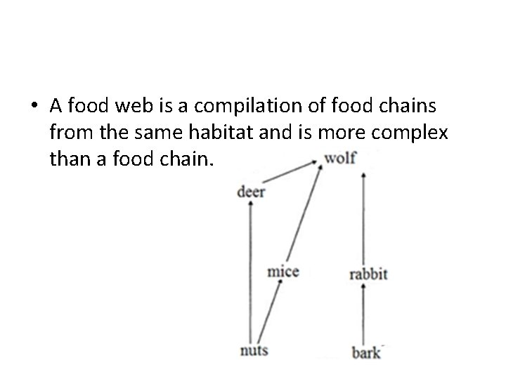  • A food web is a compilation of food chains from the same