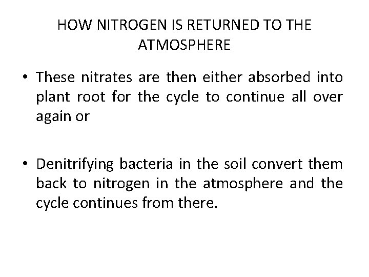 HOW NITROGEN IS RETURNED TO THE ATMOSPHERE • These nitrates are then either absorbed