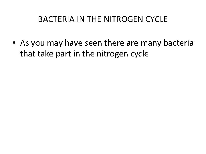 BACTERIA IN THE NITROGEN CYCLE • As you may have seen there are many