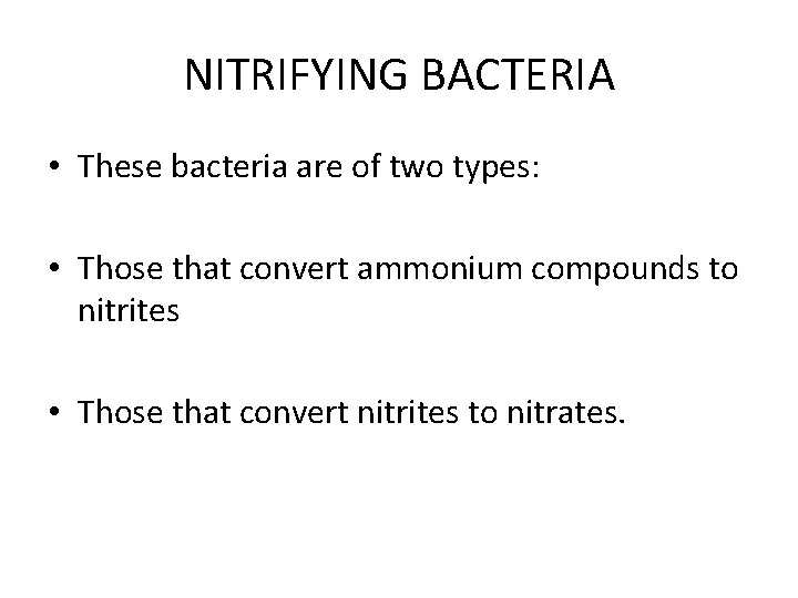 NITRIFYING BACTERIA • These bacteria are of two types: • Those that convert ammonium
