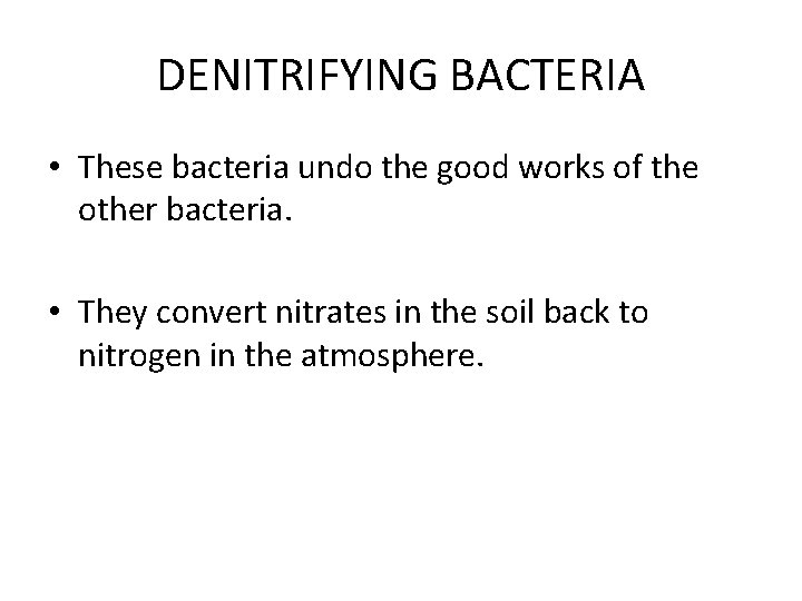 DENITRIFYING BACTERIA • These bacteria undo the good works of the other bacteria. •