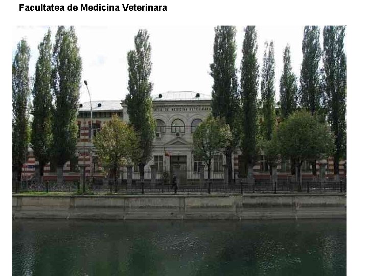 Facultatea de Medicina Veterinara 