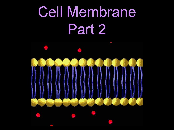 Cell Membrane Part 2 