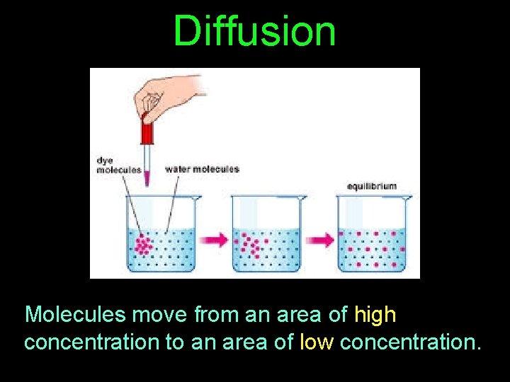 Diffusion Molecules move from an area of high concentration to an area of low