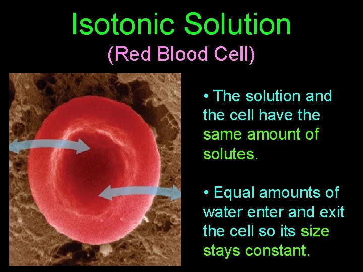Isotonic Solution (Red Blood Cell) • The solution and the cell have the same