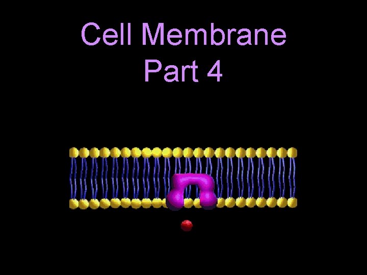 Cell Membrane Part 4 