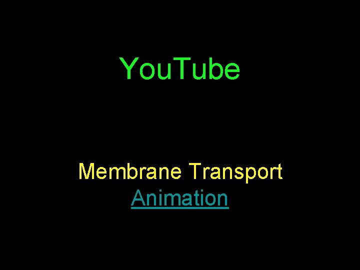 You. Tube Membrane Transport Animation 