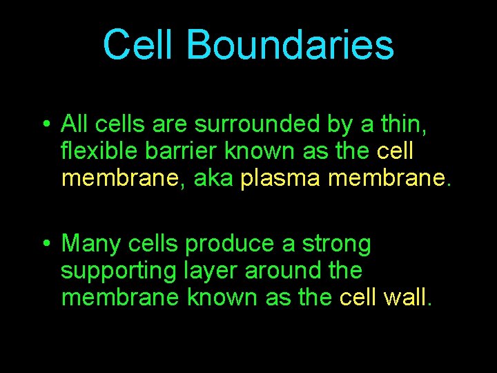 Cell Boundaries • All cells are surrounded by a thin, flexible barrier known as