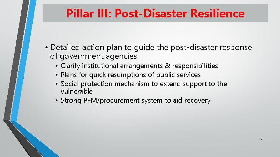 Pillar III: Post-Disaster Resilience • Detailed action plan to guide the post-disaster response of