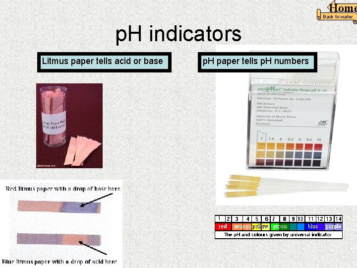 Home Back to water p. H indicators Litmus paper tells acid or base p.